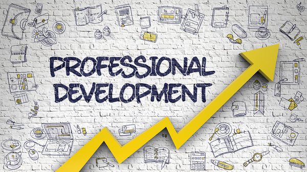 Professional bigstock--177493933_600x.jpg