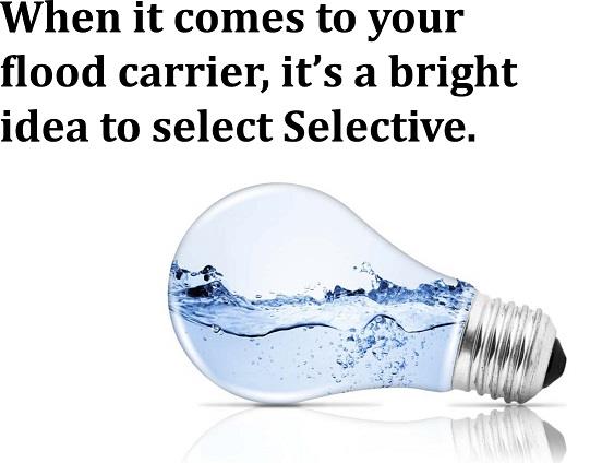 SelectSelective.jpg